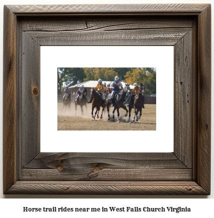 horse trail rides near me in West Falls Church, Virginia